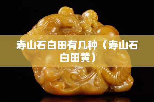 壽山石白田有幾種（壽山石白田黃）