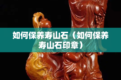 如何保養壽山石（如何保養壽山石印章）