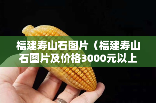 福建壽山石圖片（福建壽山石圖片及價格3000元以上花）