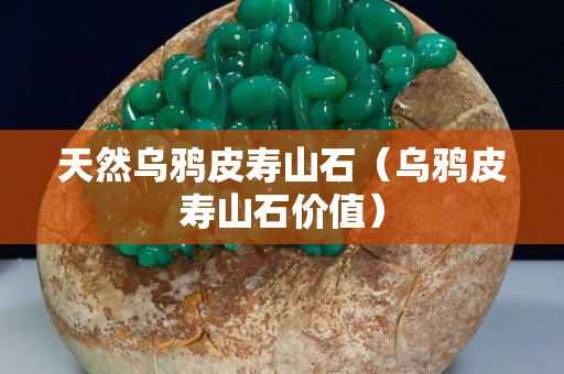 天然烏鴉皮壽山石（烏鴉皮壽山石價值）