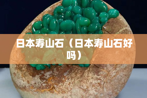 日本壽山石（日本壽山石好嗎）
