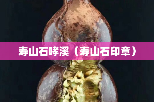 壽山石哮溪（壽山石印章）