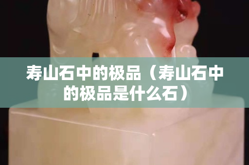 壽山石中的極品（壽山石中的極品是什么石）