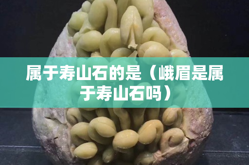 屬于壽山石的是（峨眉是屬于壽山石嗎）