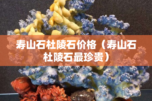 壽山石杜陵石價格（壽山石杜陵石最珍貴）