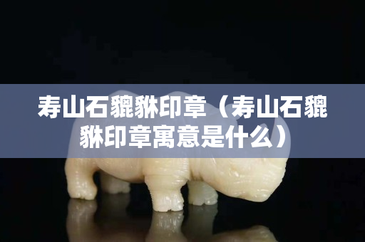 壽山石貔貅印章（壽山石貔貅印章寓意是什么）