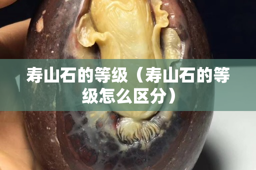 壽山石的等級(jí)（壽山石的等級(jí)怎么區(qū)分）