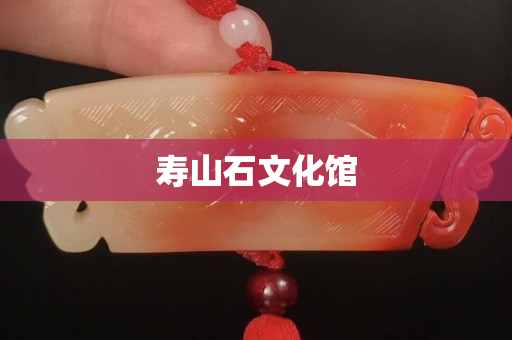 壽山石文化館