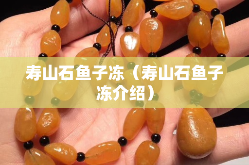 壽山石魚子凍（壽山石魚子凍介紹）