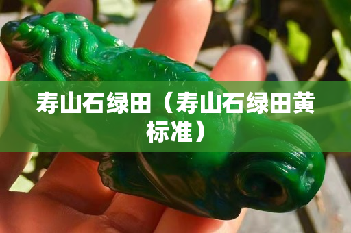 壽山石綠田（壽山石綠田黃標(biāo)準(zhǔn)）