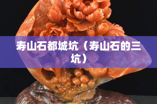 壽山石都城坑（壽山石的三坑）