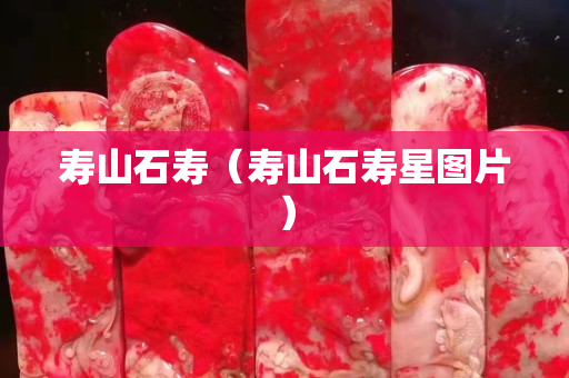 壽山石壽（壽山石壽星圖片）