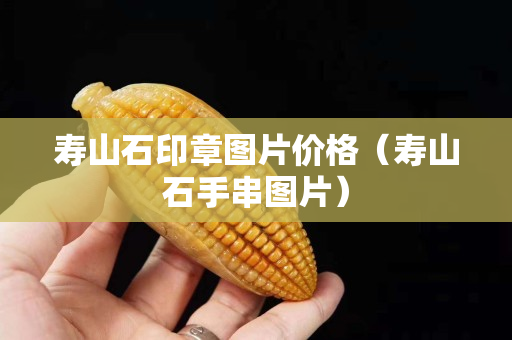 壽山石印章圖片價格（壽山石手串圖片）
