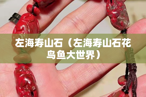 左海壽山石（左海壽山石花鳥魚大世界）