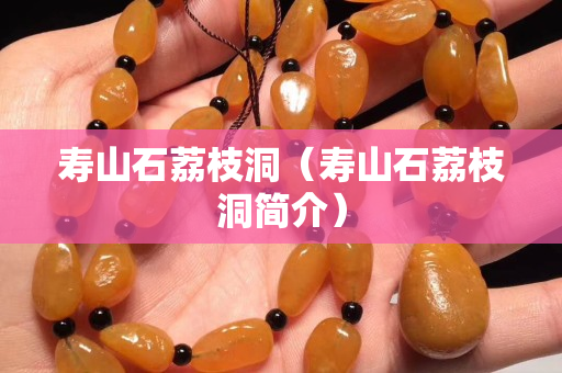 壽山石荔枝洞（壽山石荔枝洞簡介）