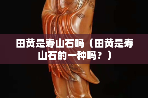 田黃是壽山石嗎（田黃是壽山石的一種嗎？）