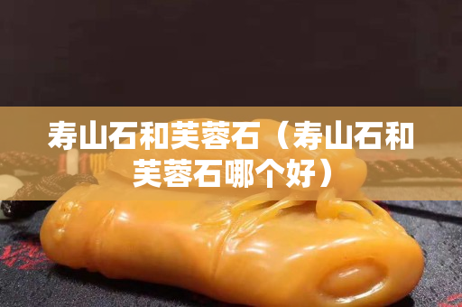 壽山石和芙蓉石（壽山石和芙蓉石哪個(gè)好）