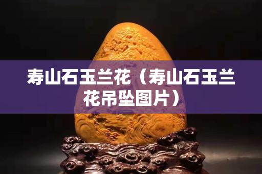 壽山石玉蘭花（壽山石玉蘭花吊墜圖片）