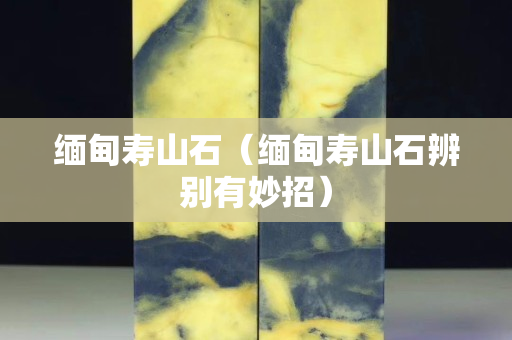 緬甸壽山石（緬甸壽山石辨別有妙招）