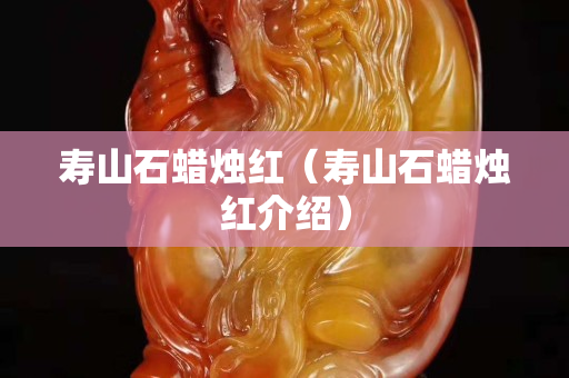 壽山石蠟燭紅（壽山石蠟燭紅介紹）