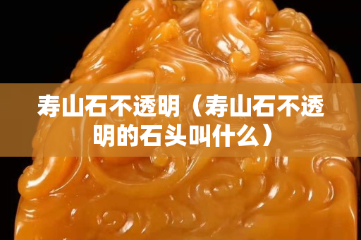 壽山石不透明（壽山石不透明的石頭叫什么）