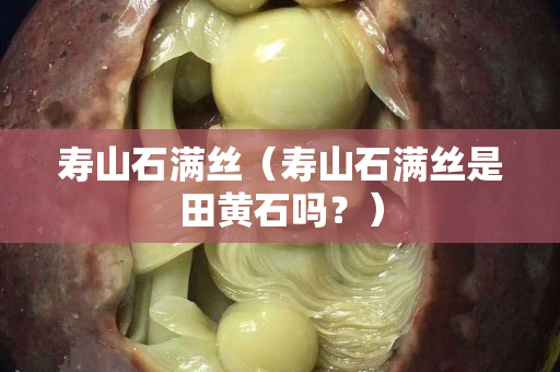 壽山石滿絲（壽山石滿絲是田黃石嗎？）