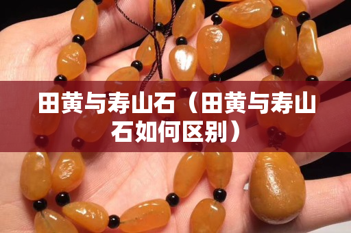 田黃與壽山石（田黃與壽山石如何區別）