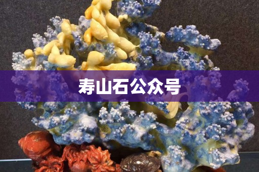 壽山石公眾號