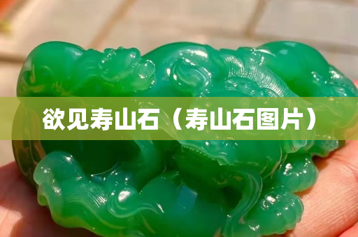 欲見壽山石（壽山石圖片）
