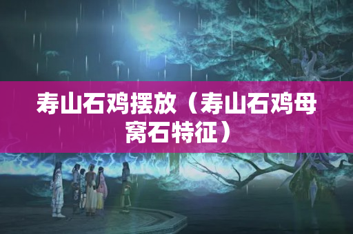 壽山石雞擺放（壽山石雞母窩石特征）