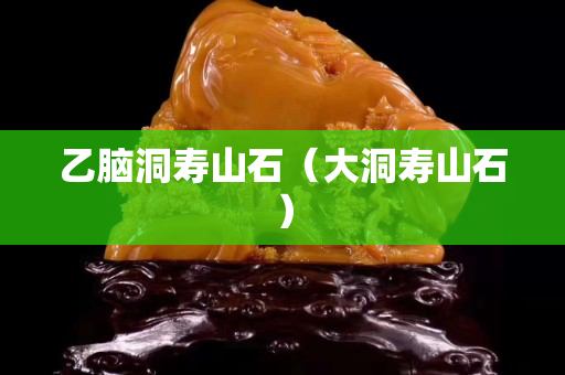 乙腦洞壽山石（大洞壽山石）
