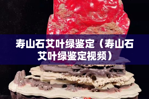 壽山石艾葉綠鑒定（壽山石艾葉綠鑒定視頻）