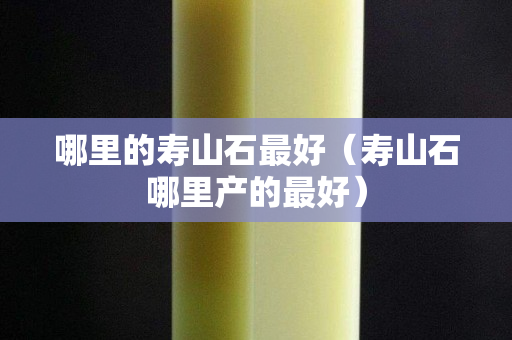 哪里的壽山石最好（壽山石哪里產的最好）