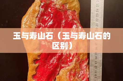 玉與壽山石（玉與壽山石的區別）