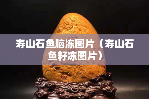 壽山石魚腦凍圖片（壽山石魚籽凍圖片）