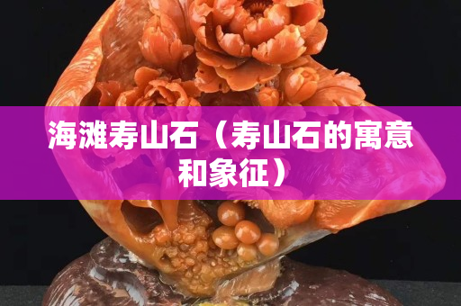 海灘壽山石（壽山石的寓意和象征）