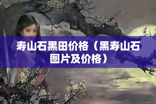 壽山石黑田價格（黑壽山石圖片及價格）