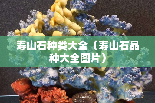 壽山石種類大全（壽山石品種大全圖片）