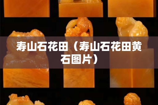 壽山石花田（壽山石花田黃石圖片）