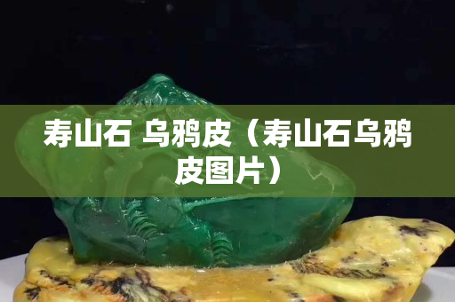 壽山石 烏鴉皮（壽山石烏鴉皮圖片）