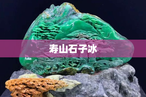 壽山石子冰
