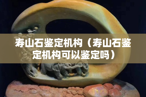 壽山石鑒定機(jī)構(gòu)（壽山石鑒定機(jī)構(gòu)可以鑒定嗎）