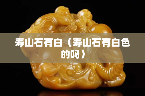 壽山石有白（壽山石有白色的嗎）
