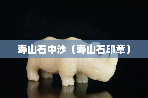 壽山石中沙（壽山石印章）