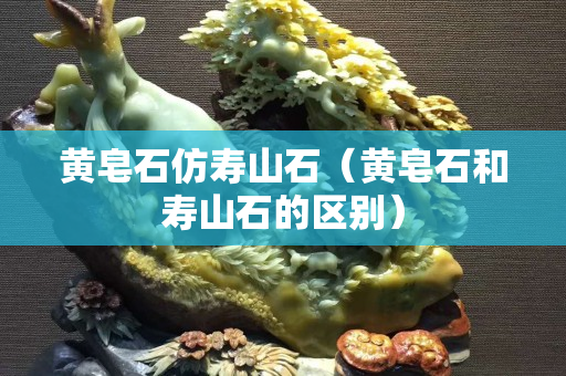 黃皂石仿壽山石（黃皂石和壽山石的區(qū)別）