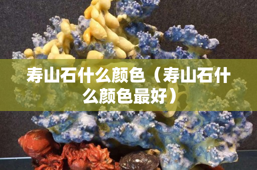 壽山石什么顏色（壽山石什么顏色最好）