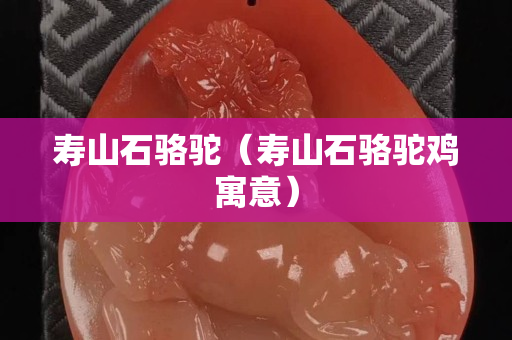 壽山石駱駝（壽山石駱駝雞寓意）