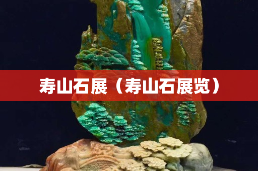 壽山石展（壽山石展覽）