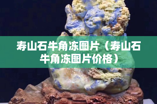 壽山石牛角凍圖片（壽山石牛角凍圖片價(jià)格）