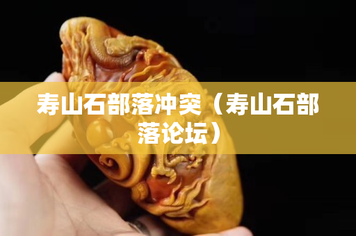 壽山石部落沖突（壽山石部落論壇）